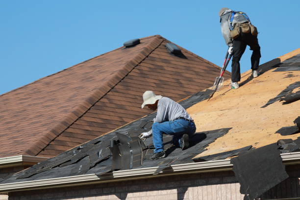 Best Roof Moss and Algae Removal  in Pepper Pike, OH